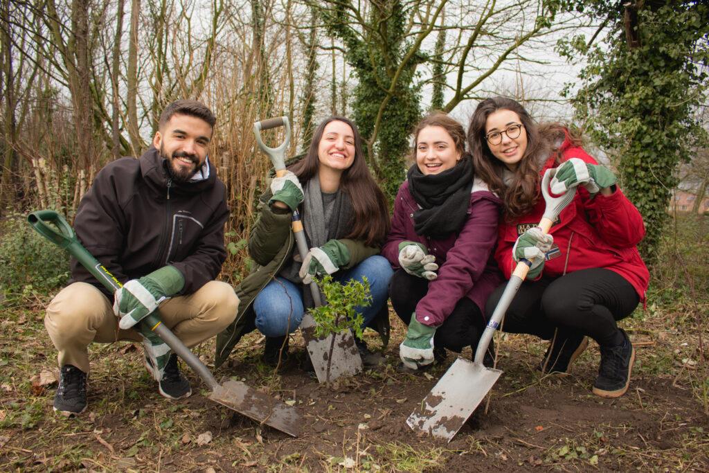 Website_TreePlanting